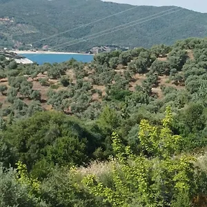 Art Panorama Hotel